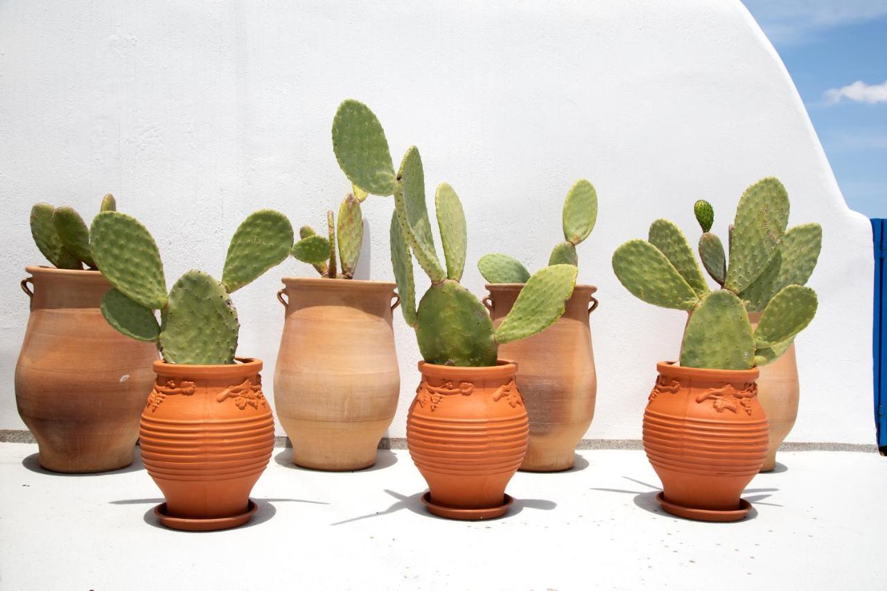 Amphora Villas Santorini Akrotiri Akrotírion المظهر الخارجي الصورة